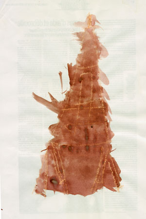 Peinture, fin d�cembre 98