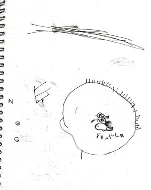 Dessin Lou Salom� F�vrier 99